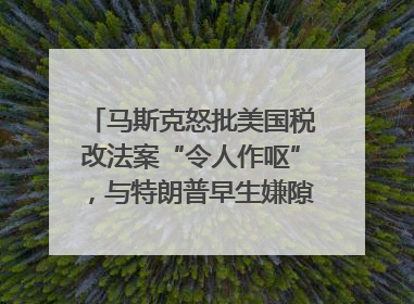 马斯克怒批美国税改法案“令人作呕”，与特朗普早生嫌隙？｜国际识局