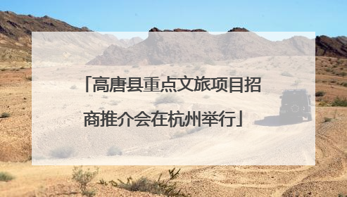 高唐县重点文旅项目招商推介会在杭州举行