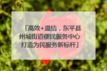 高效+温情，东平县州城街道便民服务中心打造为民服务新标杆