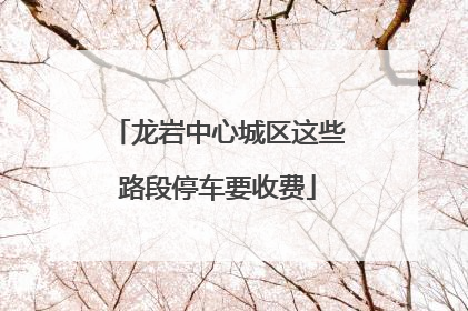 龙岩中心城区这些路段停车要收费