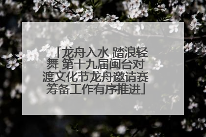 龙舟入水 踏浪轻舞 第十九届闽台对渡文化节龙舟邀请赛筹备工作有序推进