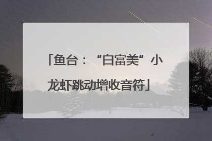 鱼台：“白富美”小龙虾跳动增收音符