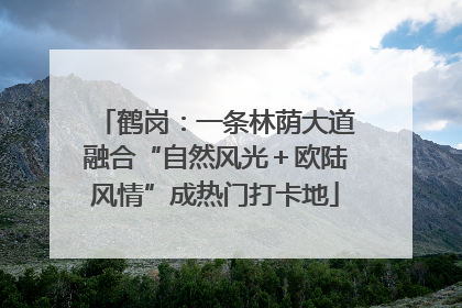 鹤岗：一条林荫大道融合“自然风光＋欧陆风情”成热门打卡地