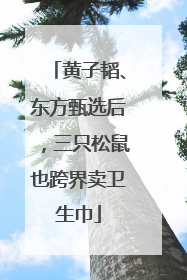 黄子韬、东方甄选后，三只松鼠也跨界卖卫生巾