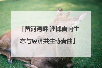 黄河湾畔 淄博奏响生态与经济共生协奏曲