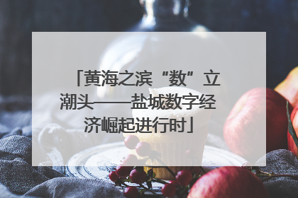 黄海之滨“数”立潮头——盐城数字经济崛起进行时