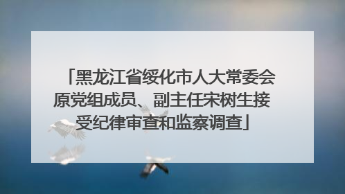 黑龙江省绥化市人大常委会原党组成员、副主任宋树生接受纪律审查和监察调查