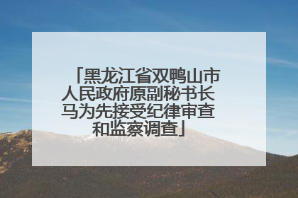黑龙江省双鸭山市人民政府原副秘书长马为先接受纪律审查和监察调查