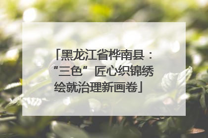 黑龙江省桦南县：“三色”匠心织锦绣 绘就治理新画卷