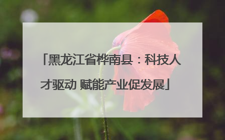 黑龙江省桦南县：科技人才驱动 赋能产业促发展