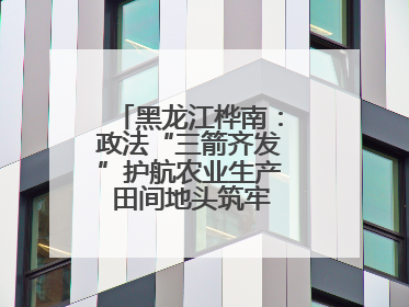 黑龙江桦南：政法“三箭齐发”护航农业生产 田间地头筑牢平安建设防线