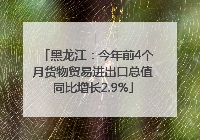 黑龙江：今年前4个月货物贸易进出口总值同比增长2.9%