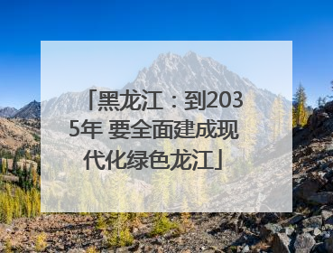 黑龙江：到2035年 要全面建成现代化绿色龙江