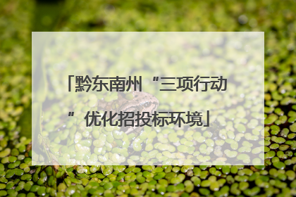 黔东南州“三项行动”优化招投标环境