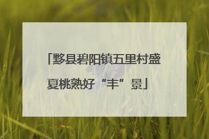 黟县碧阳镇五里村盛夏桃熟好“丰”景