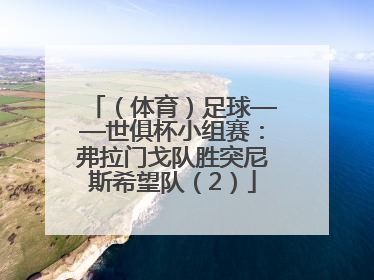 （体育）足球——世俱杯小组赛：弗拉门戈队胜突尼斯希望队（2）