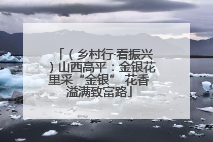 （乡村行·看振兴）山西高平：金银花里采“金银” 花香溢满致富路