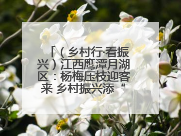 （乡村行·看振兴）江西鹰潭月湖区：杨梅压枝迎客来 乡村振兴添“梅”景