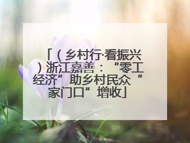 （乡村行·看振兴）浙江嘉善：“零工经济”助乡村民众“家门口”增收