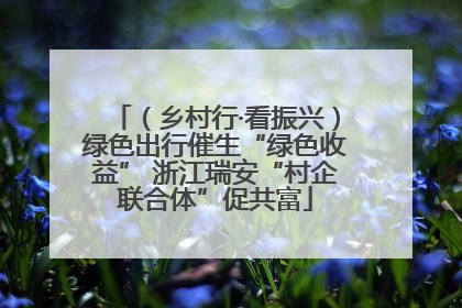（乡村行·看振兴）绿色出行催生“绿色收益” 浙江瑞安“村企联合体”促共富
