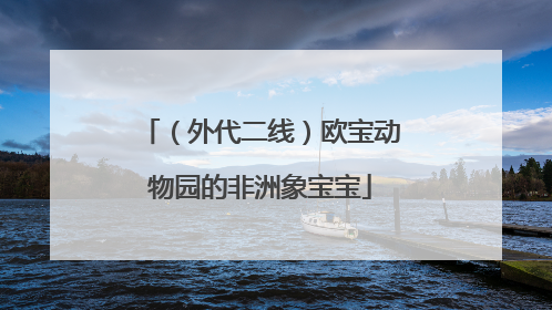 （外代二线）欧宝动物园的非洲象宝宝