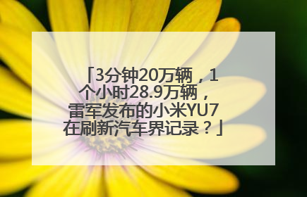 3分钟20万辆，1个小时28.9万辆，雷军发布的小米YU7在刷新汽车界记录？
