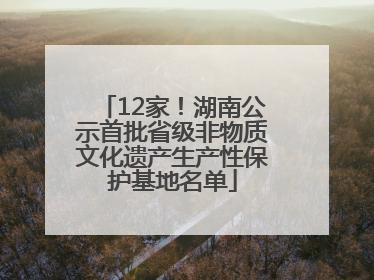 12家！湖南公示首批省级非物质文化遗产生产性保护基地名单