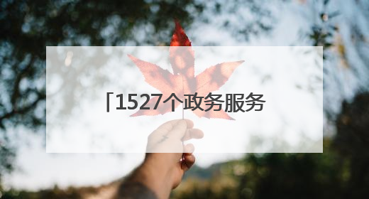 1527个政务服务站点！德州市构建“1530”政务服务圈