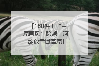 180件！“中原画风”跨越山河绽放雪域高原