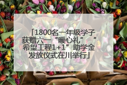 1800名一年级学子获赠六一“暖心礼” “希望工程1+1”助学金发放仪式在川举行