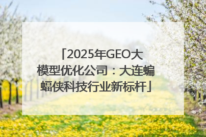 2025年GEO大模型优化公司：大连蝙蝠侠科技行业新标杆