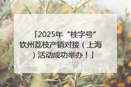 2025年“桂字号”钦州荔枝产销对接（上海）活动成功举办！