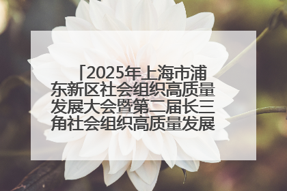 2025年上海市浦东新区社会组织高质量发展大会暨第二届长三角社会组织高质量发展峰会成功举办