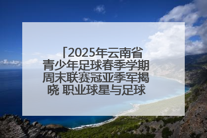 2025年云南省青少年足球春季学期周末联赛冠亚季军揭晓 职业球星与足球小将共享荣耀时刻