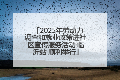 2025年劳动力调查和就业政策进社区宣传服务活动·临沂站 顺利举行