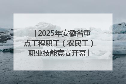 2025年安徽省重点工程职工（农民工）职业技能竞赛开幕