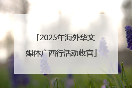 2025年海外华文媒体广西行活动收官