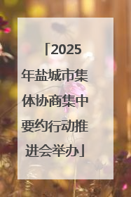 2025年盐城市集体协商集中要约行动推进会举办