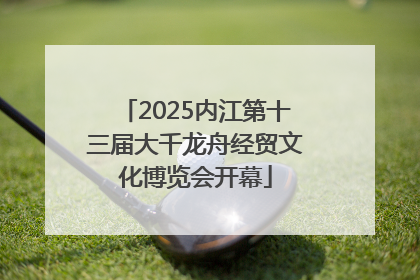 2025内江第十三届大千龙舟经贸文化博览会开幕