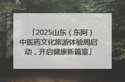 2025山东（东阿）中医药文化旅游体验周启动，开启健康新篇章