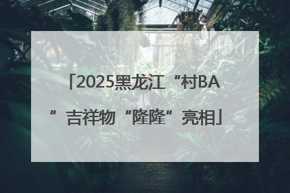 2025黑龙江“村BA”吉祥物“隆隆”亮相