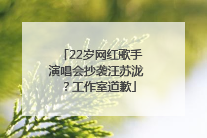 22岁网红歌手演唱会抄袭汪苏泷？工作室道歉