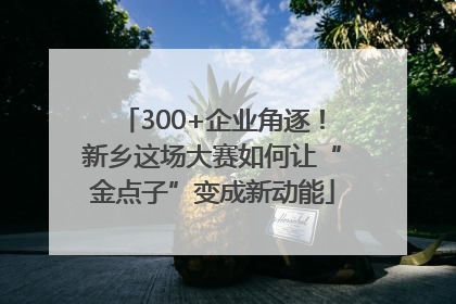 300+企业角逐！新乡这场大赛如何让“金点子”变成新动能