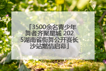 3500余名青少年舞者齐聚星城 2025湖南省街舞公开赛长沙站燃情启幕