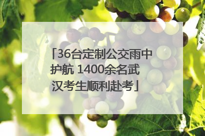 36台定制公交雨中护航 1400余名武汉考生顺利赴考