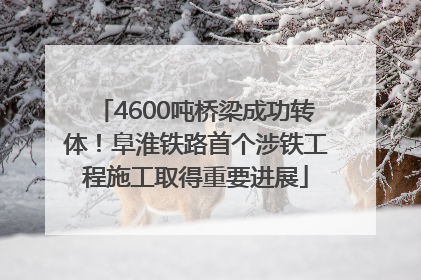 4600吨桥梁成功转体！阜淮铁路首个涉铁工程施工取得重要进展