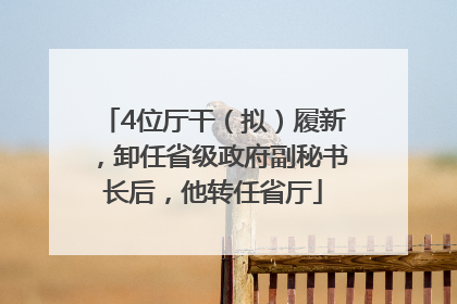 4位厅干（拟）履新，卸任省级政府副秘书长后，他转任省厅