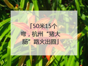 50米15个弯，杭州“猪大肠”路火出圈