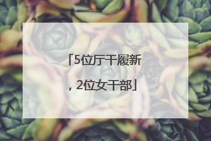 5位厅干履新，2位女干部