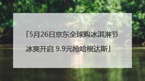 5月26日京东全球购冰淇淋节冰爽开启 9.9元抢哈根达斯